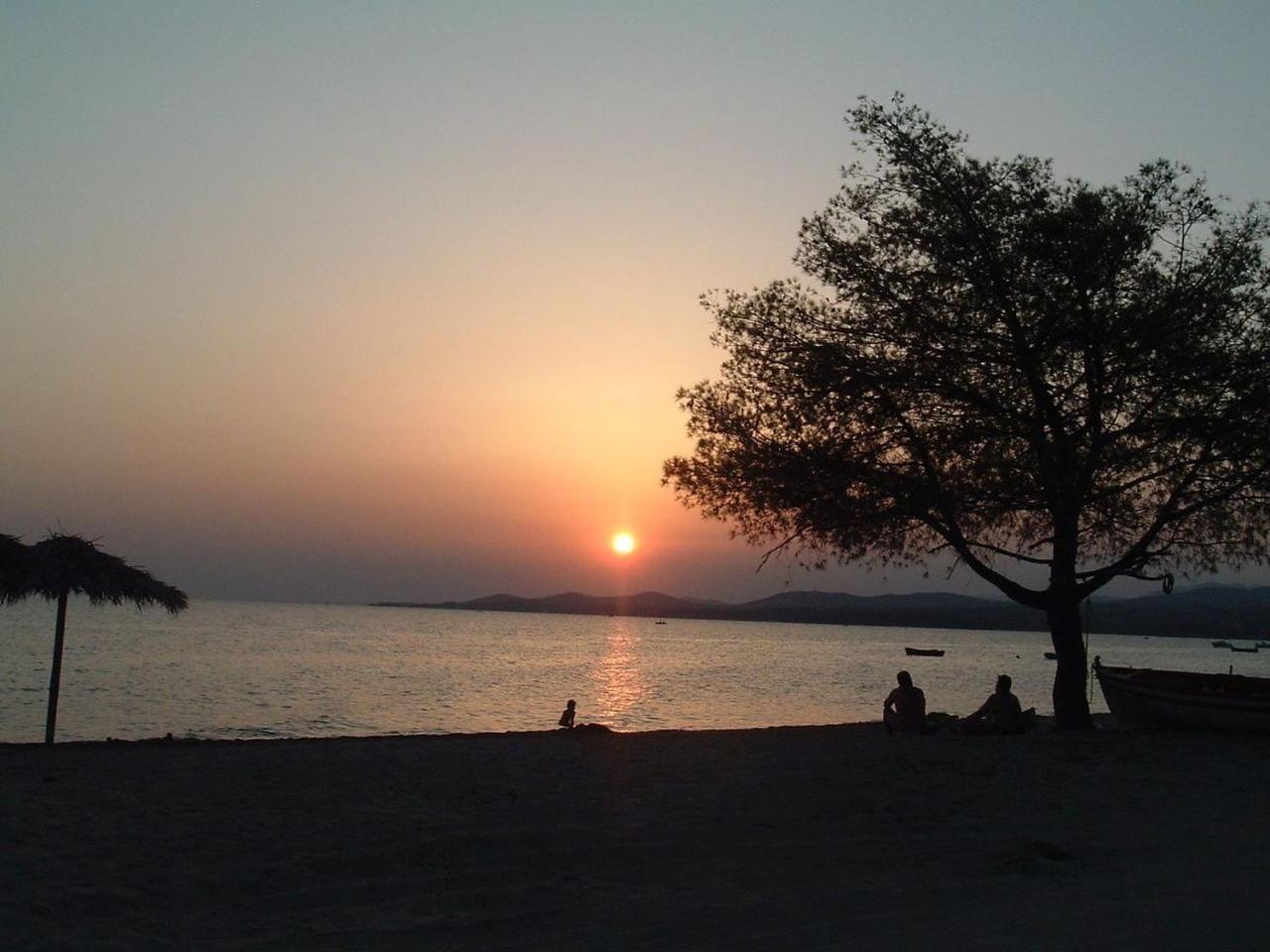 Finikas Garden Beach Resort Nikiti Exteriör bild