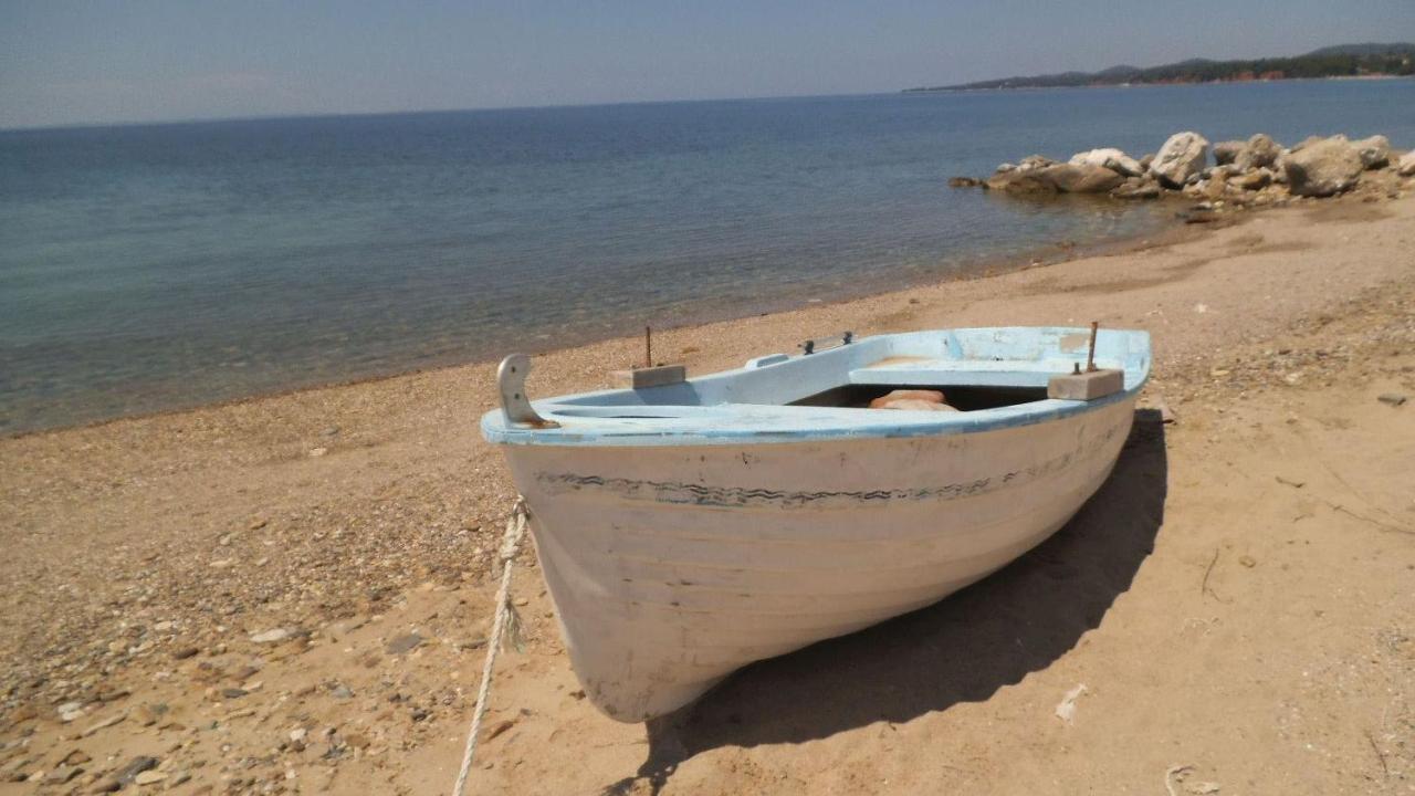 Finikas Garden Beach Resort Nikiti Exteriör bild