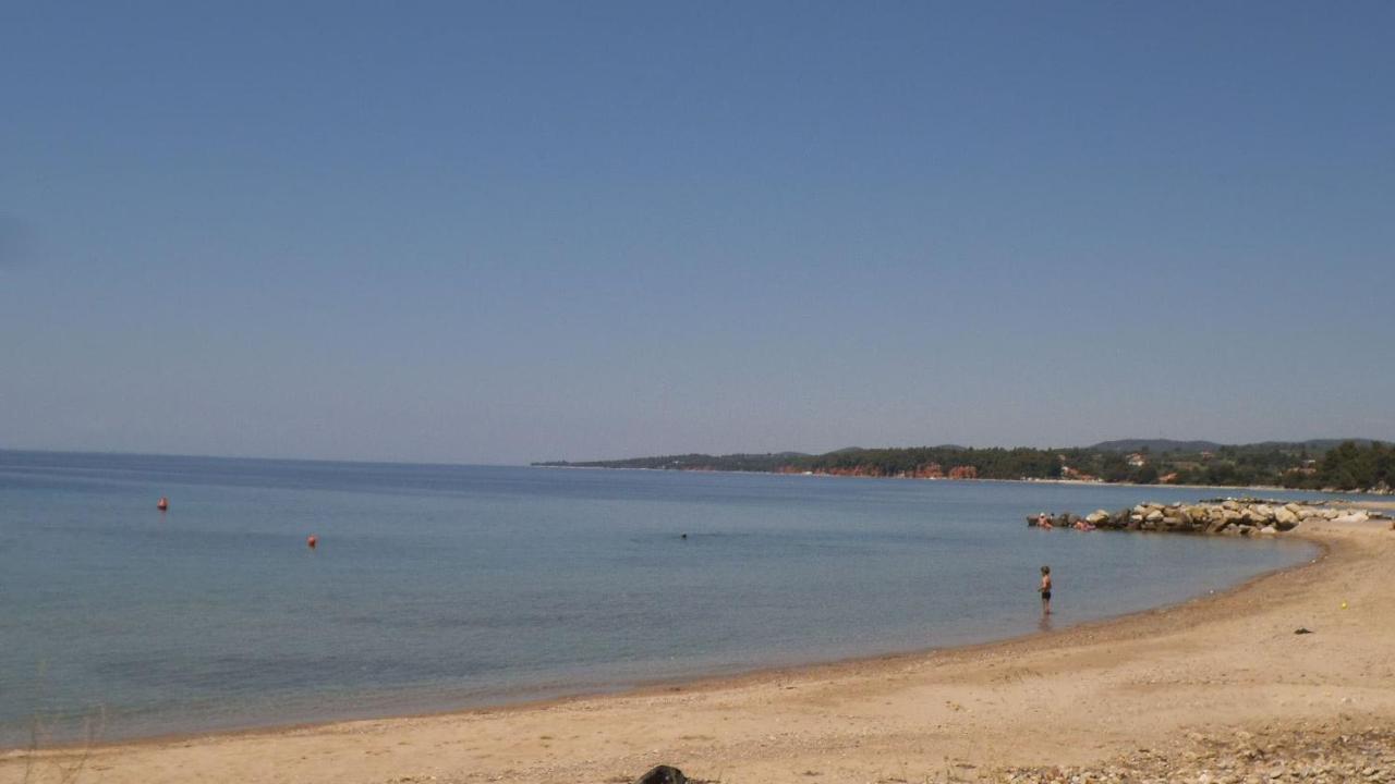 Finikas Garden Beach Resort Nikiti Exteriör bild